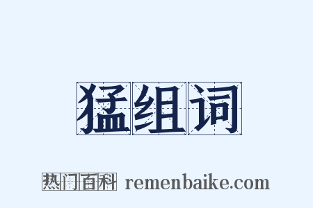 猛组词是什么意思的图片